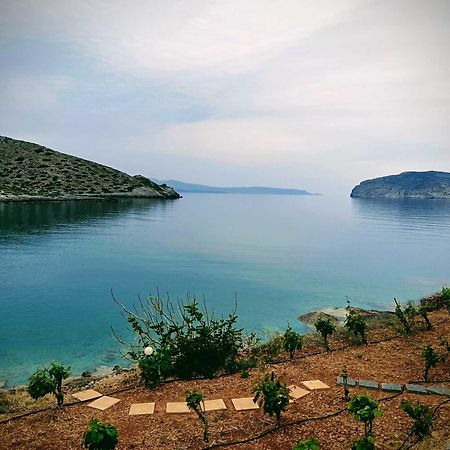 Tholos Alexandra'S Beachfront House Kavoúsion Eksteriør bilde