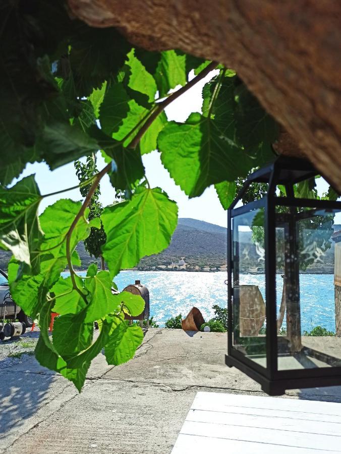 Tholos Alexandra'S Beachfront House Kavoúsion Eksteriør bilde