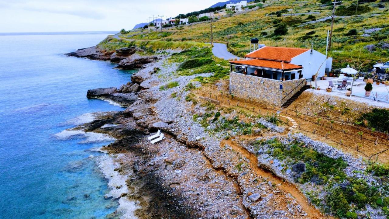 Tholos Alexandra'S Beachfront House Kavoúsion Eksteriør bilde